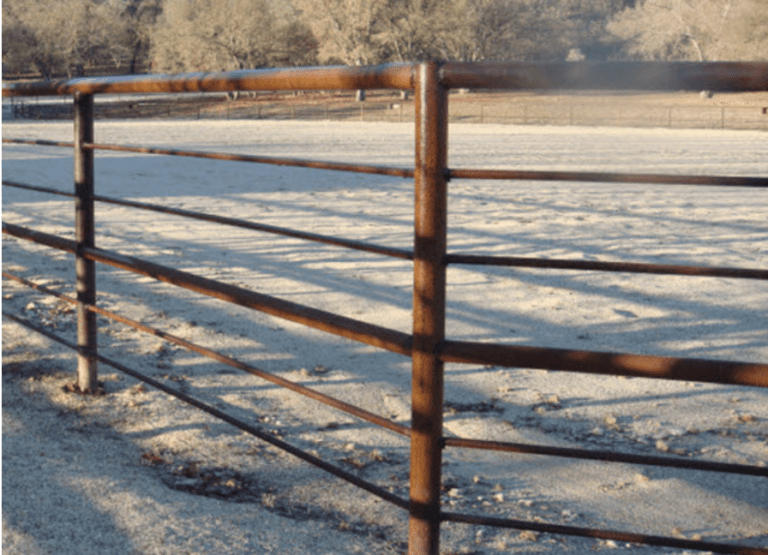 Horse Corral Fencing Coast Pipe Used Pipe Paso Robles California