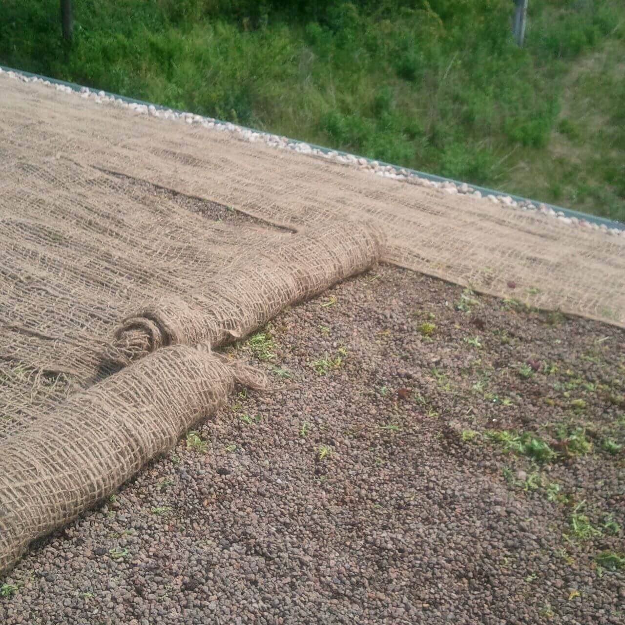 A close up of the edge of a roof